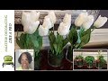 Easy Spring Floral Arrangements - Dollar Tree Succulents and Silks Easy Spring Floral Arrangements - Dollar Tree Succulents and Silks