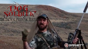 Sniper shot on a coyote - Coyote calling and predator hunting at its best.