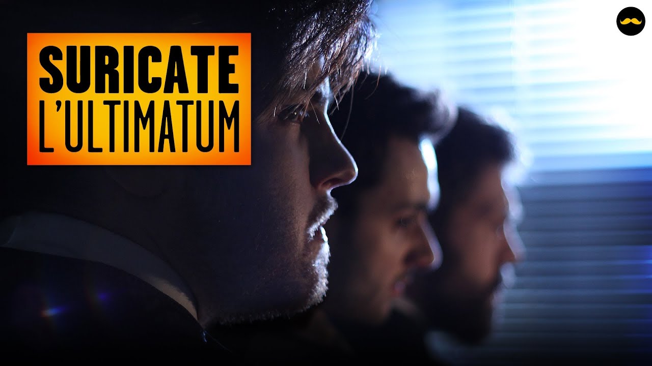 SURICATE – L’Ultimatum