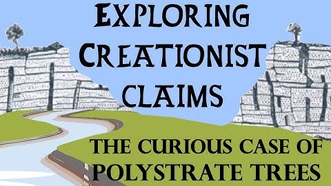 Creationist Claims: The Case of the Polystrate Tree