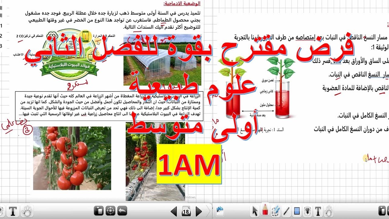 فرض الفصل الثاني في العلوم الطبيعية السنة الأولى متوسط نموذج 1