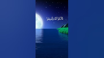 تلاوة ندية للشيخ صلاح باعثمان #quran