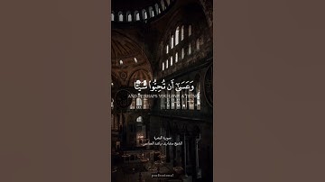 وعسى ان تكرهوا شئ وهو خير لكم#القرآن_الكريم #قرآن #العفاسي #مشاري_العفاسي #quran #fyp  #تلاوة #viral