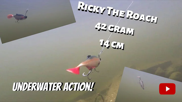 Ricky the roach 14 cm, 42 gram (gng under vattnet)