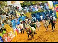 உலக புகழ் பெற்ற ✨அலங்காநல்லூர்✨ஜல்லிக்கட்டு🐂 தமிழர்களின்💪வீர விளையாட்டு#jallikattu#cherilcherbivlogs