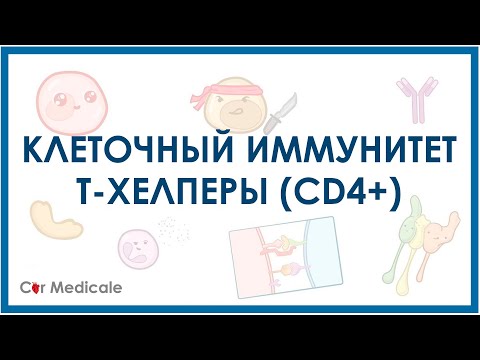 Видео: Какво е th2-тип имунопатология?