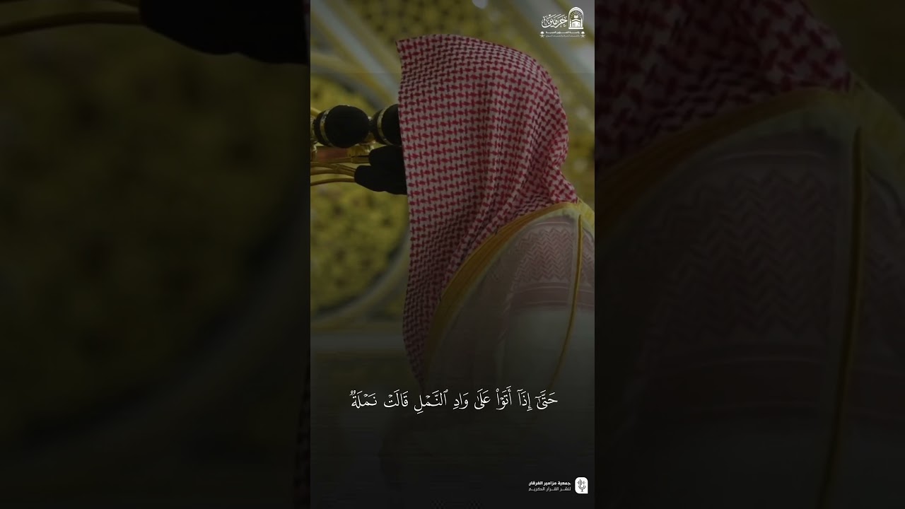 مقتطف من تلاوة فضيلة الشيخ د. #عبدالله_القرافي من صلاة الفجر الجمعة ٢٤ ذو الحجة ١٤٤٦ هـ