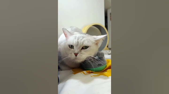 Tired Pet? 😫 Relax Them in Seconds with the Tilcare Massager! 🐾