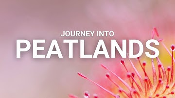 Wild For Life Journeys - Peatlands