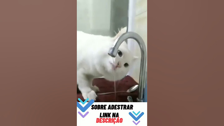 💦Aguinha 😂🐈#shorts