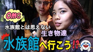 水族館へ行こう水族館にトラがいるJacobさんとDateです (Day.1)