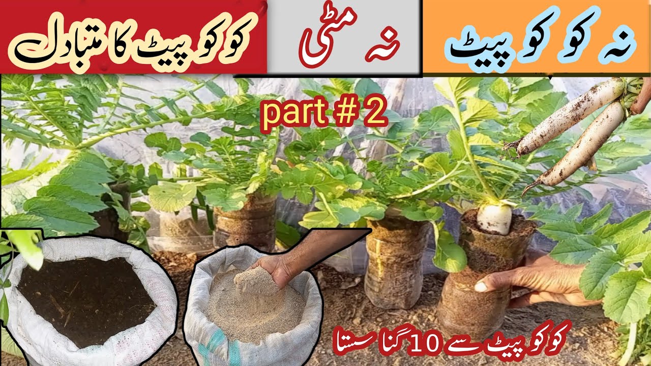 Coco Peat Alternatives: The Ultimate Guide to Soil Substitutes|coco peat ka mutbadal part#2#garden 