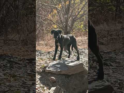 ۲۳ نوامبر ۲۰۲۵