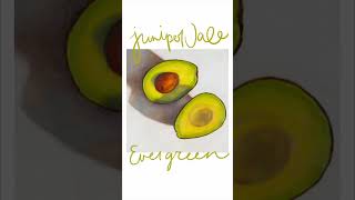 Video thumbnail of "evergreen 🥑 out now!"