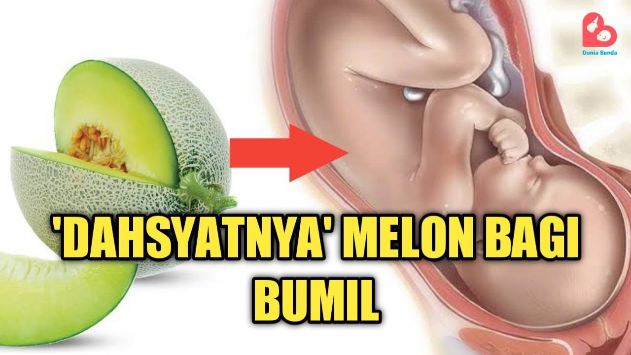 ALASAN IBU HAMIL PERLU MAKAN BUAH MELON YouTube