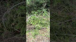 IMG 5673 4