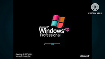 Windows XP Professional Startup Sound in Luig Group