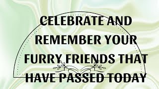 Celebrate and Remember Your Furry Friends That Have Passed Today