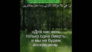 Коран Сура Ад-Духан | 44:35 |Чтение Корана с русским переводом | Quran Translation Surah Ad Dukhan