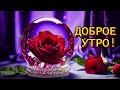 ДОБРОЕ УТРО! 🌹 ЧУДЕСНОГО ДНЯ!🌹ВОТ И КОНЧАЕТСЯ ЯНВАРЬ, 🌹ГОД НАБИРАЕТ ОБОРОТЫ.🌹🌹🌹🌹🌹🌹🌹🌹