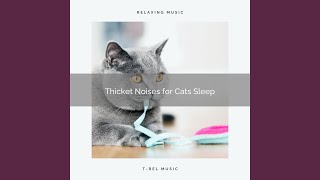 Soft Songs for Cat Naps