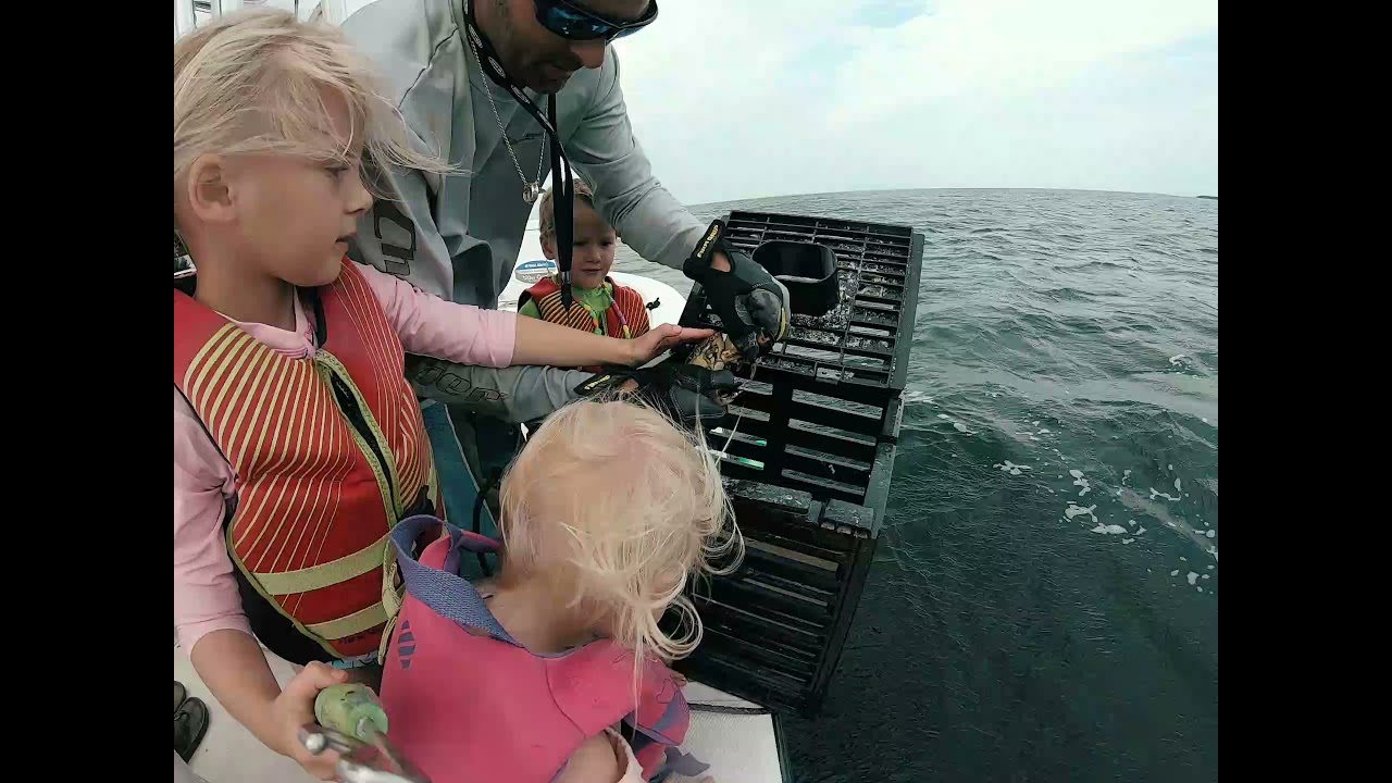 Miller Marine pulling stone crab traps in the Florida Keys YouTube