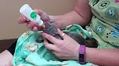 TOPbreed!!!!!!!ep:How to bottle feed a newborn puppy!!!! - YouTube