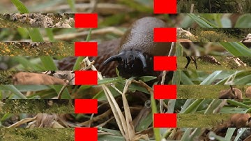 aƒ20 ➜ servenofunction, 19