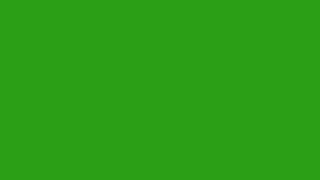 Blinking Green Screen(FREE TO USE)