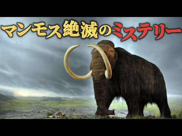 How did the last mammoth disappear from a remote island
