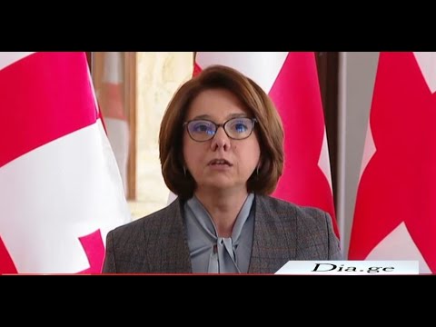 გაერთიანდება თუ არა ოპოზიცია პრაიმერიზის იდეის გარშემო -შეფასებები 3.11.2022