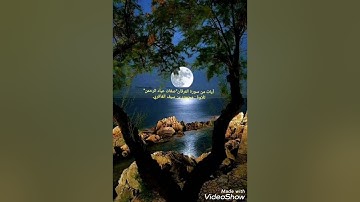 تلاوة من سورة الفرقان"صفات عباد الرحمن".. تلاوة محمود الغافري @أبوالمقدامالغافري