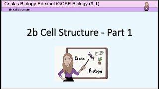 iGCSE biology 2 a \& b Level of Organisation and Cell Structure Part 1 #cricksbiology