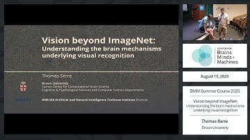 Vision beyond ImageNet: Understanding the brain mechanisms underlying visual recognition