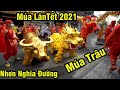 Múa Lân Hay Nhất mùng 1 Tết 2021 LSR Nhơn Nghĩa Đường Múa Trâu Quá Đẹp