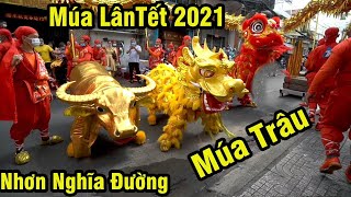 Múa Lân Hay Nhất mùng 1 Tết 2021 LSR Nhơn Nghĩa Đường Múa Trâu Quá Đẹp