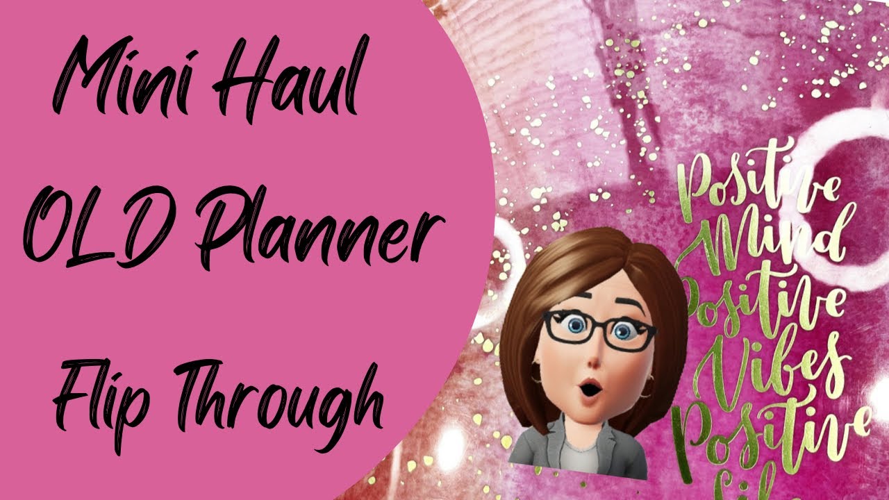 Mini Haul ~ OLD Planner Flip Through 17/18 ~ Happy Planner