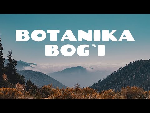 Video: Botanika Bog'iga Qanday Borish Mumkin