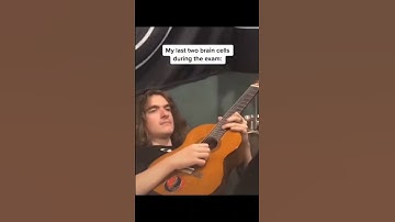 My Last 2 Braincells During An Exam