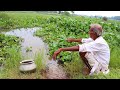 Fishing Video || If you see Grandpa's fishing method today, you too will be able to catch fish