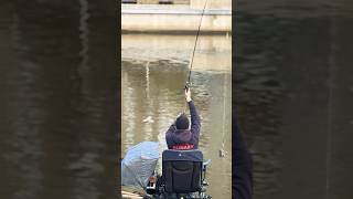 Тренируем заброс перед соревнованиями #fishing #feeder #рыбалка