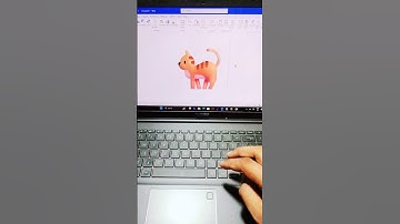 Cat 🐈 Symbol Magic Tricks #shorts #computer #msword