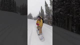 Celebrity Just Snowboarding Series Wealth