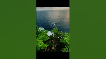 أكتب شيئ تؤجر عليه ✍🏼🤎 #عبدالرحمن_مسعد #quran #القرآن_الكريم #راحة_نفسية #تلاوة_خاشعة #اللهم_تقبل