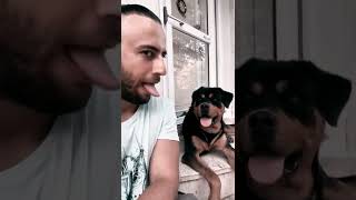 Köpek Taklit Edilmekten Hoşlanmaz.