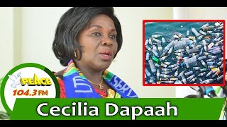 Ghana Cannot Ban Plastic Thoroughly - Minister