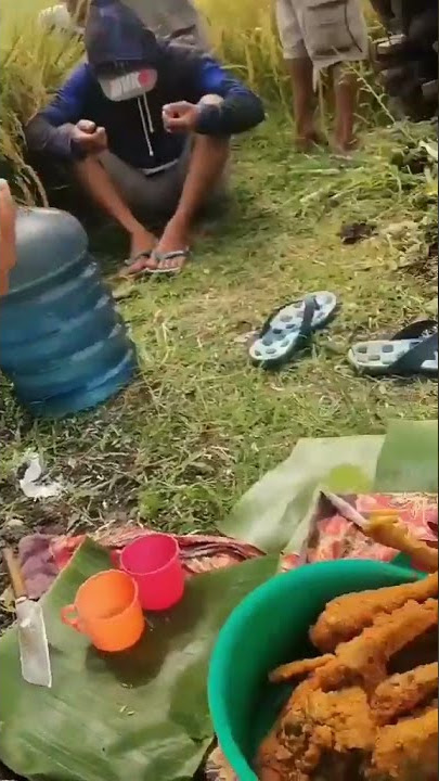 Status wa lucu petani 4.0