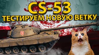 CS-53 - ТЕСТИРУЕМ  ВЕТКУ ПОЛЬСКИХ СРЕДНИХ ТАНКОВ! (8 уровень)