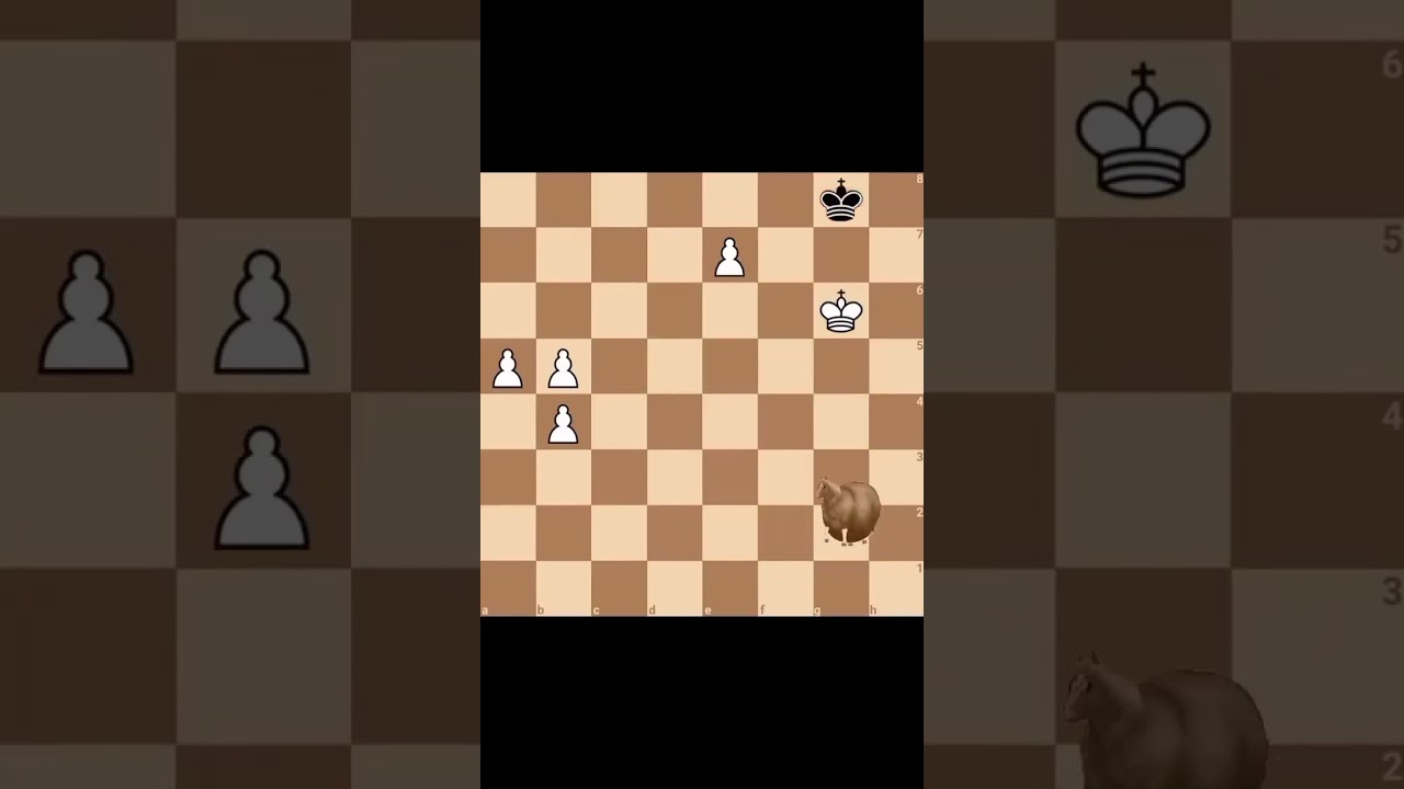 horse going in circle chess meme 