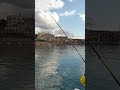 Pesca al cefalo in porto.